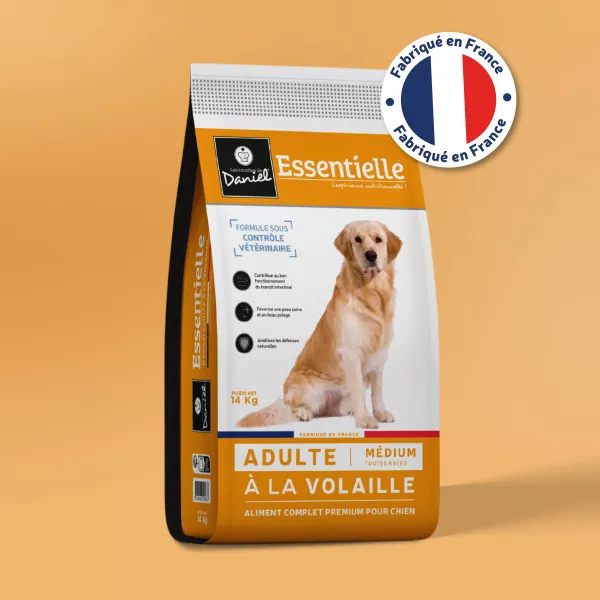 croquette chien essentielle adulte volaille medium