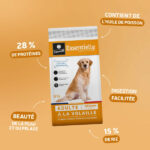 ESSENTIELLE Adulte