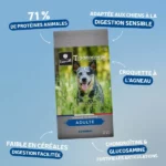 Traditionnelle Adulte Agneau Medium