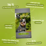 Traditionnelle Allégée Medium