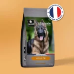 Traditionnelle Adulte Canard MAXI