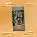 Traditionnelle Adulte Canard MAXI