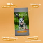 Traditionnelle Adulte Canard Medium