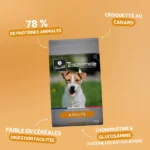 Traditionnelle Adulte Canard Mini