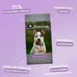 Traditionnelle Croissance Medium