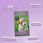 Traditionnelle Croissance Mini