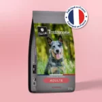 Traditionnelle Adulte Saumon Medium