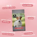 Traditionnelle Adulte Saumon Medium