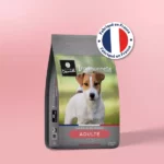 Traditionnelle Adulte Saumon Mini