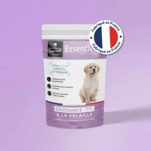 croquette chien essentielle croissance volaille mini