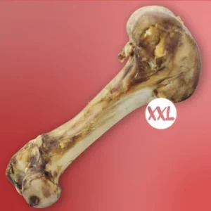 os de boeuf XXL les recettes de daniel