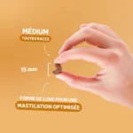 ESSENTIELLE Adulte