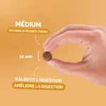 ORIGINELLE Sans Céréales Adulte Poulet Medium
