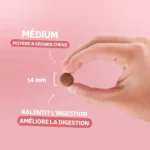 ORIGINELLE Sans Céréales Adulte Saumon Medium