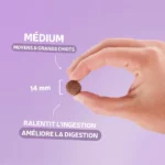 ORIGINELLE Sans Céréales Croissance Medium