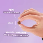 ORIGINELLE Sans Céréales Croissance Mini