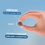 Traditionnelle Adulte Agneau Medium