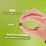 Traditionnelle Allégée Mini