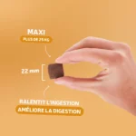 Traditionnelle Adulte Canard MAXI