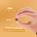 Traditionnelle Adulte Canard Mini