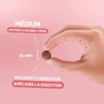 Traditionnelle Adulte Saumon Medium