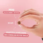 Traditionnelle Adulte Saumon Mini