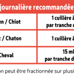 Huile de saumon