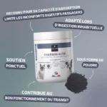 Charbon actif pour chien et chat