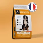 ESSENTIELLE Adulte Maxi