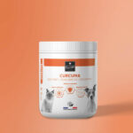 Curcuma pour chien et chat
