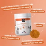 Curcuma pour chien et chat