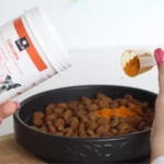 Curcuma pour chien et chat