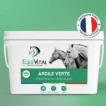 Argile verte
